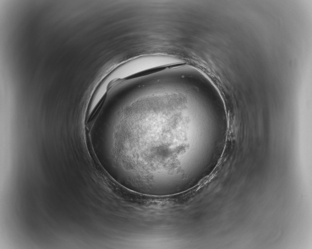 X0000093420099200710261007