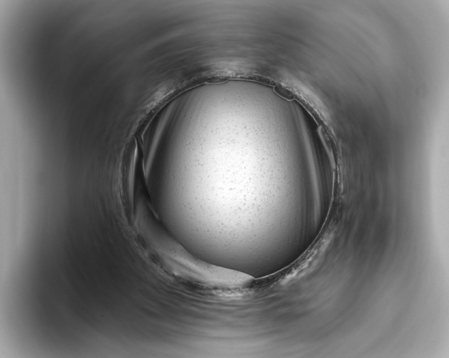 X0000093420105200710261007