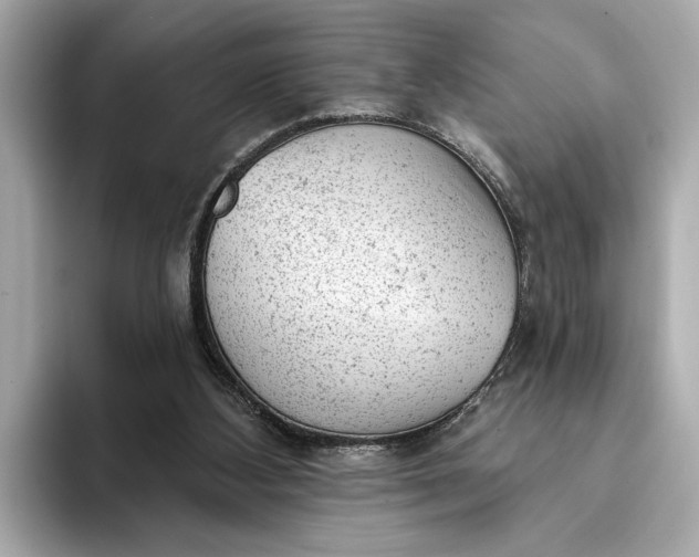 X0000093420108200710261007