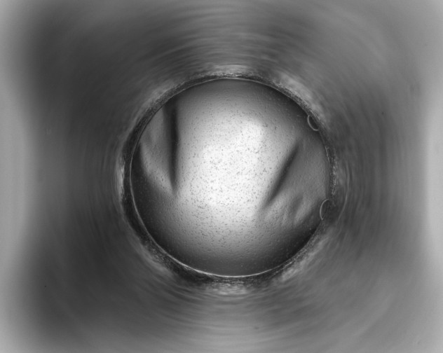 X0000093420110200710261007