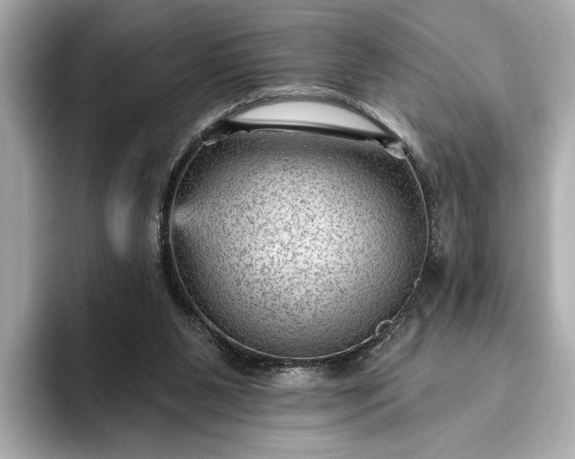 X0000093420111200710261007