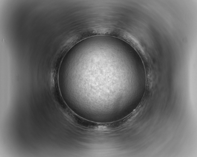 X0000093420114200710261007