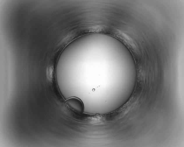 X0000093420118200710261007