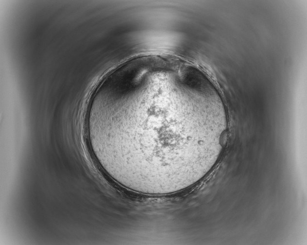 X0000093420145200710261006