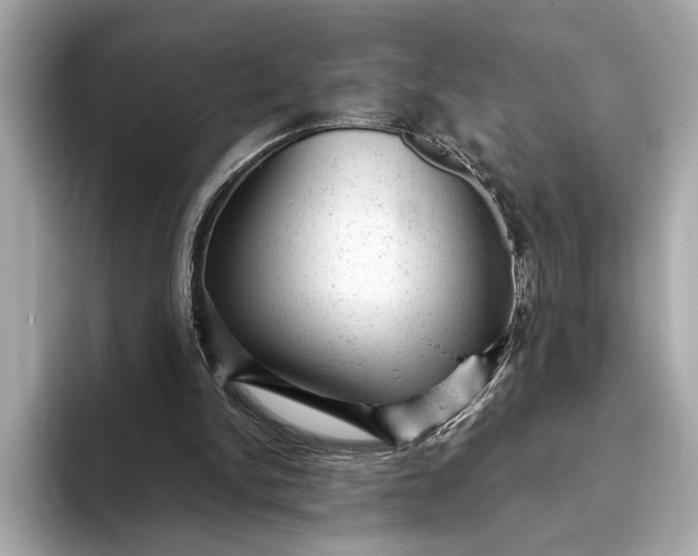 X0000093420150200710261006