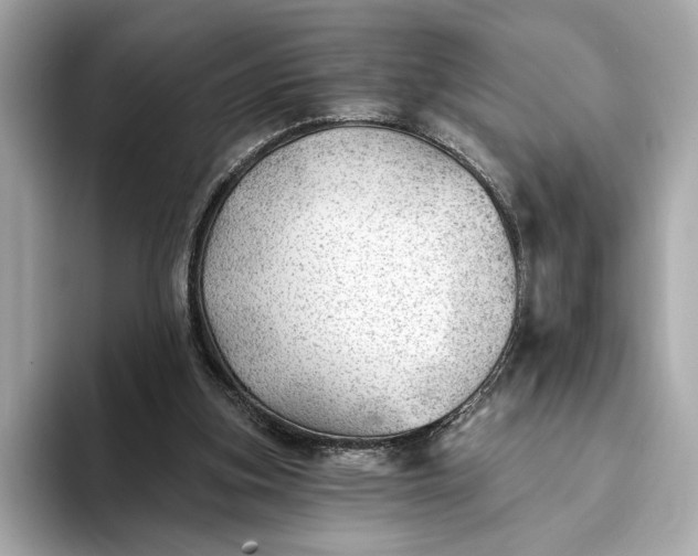 X0000093420155200710261006