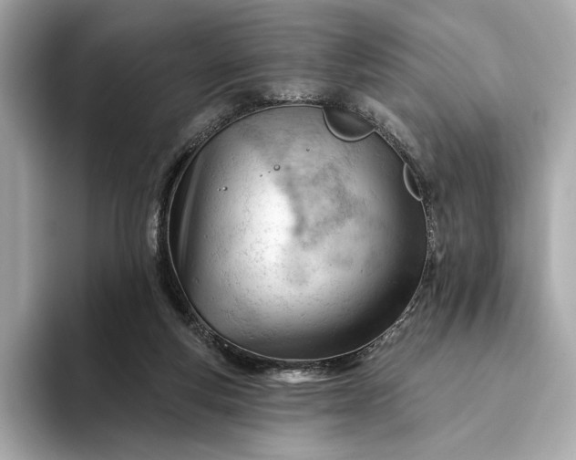 X0000093420163200710261006