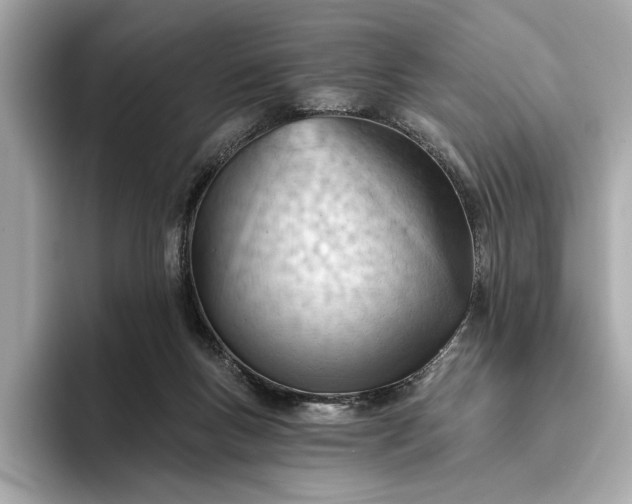 X0000093420167200710261006