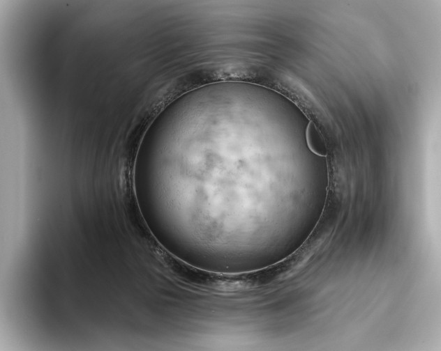 X0000093420169200710261006