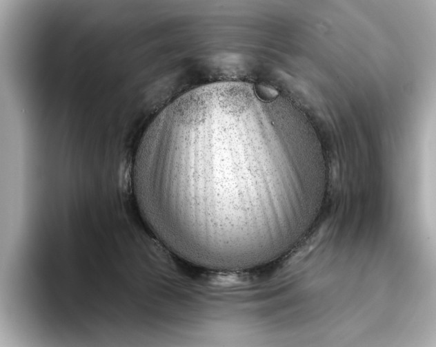 X0000093420177200710261006