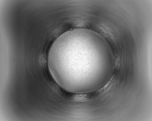 X0000093420179200710261006