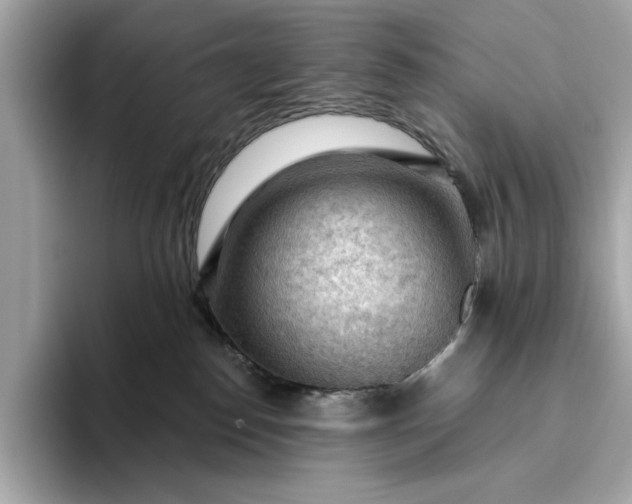 X0000093420186200710261006