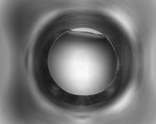 X0000093420190200710261006