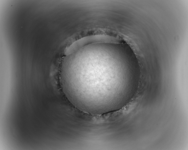 X0000093420192200710261006