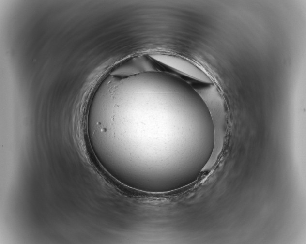 X0000093420193200710261006