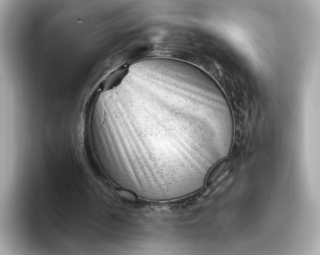 X0000093420194200710261006