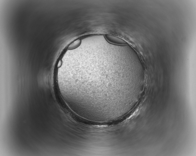 X0000093420200200710261005