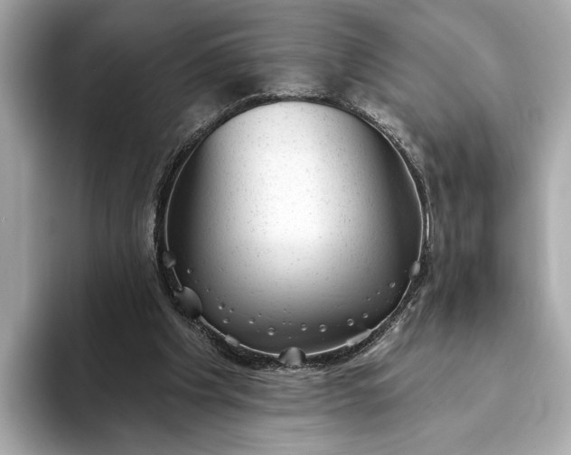 X0000093420201200710261005