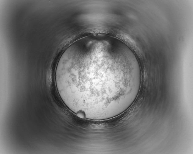 X0000093420202200710261005