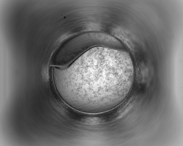 X0000093420203200710261005