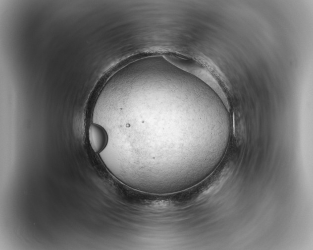 X0000093420204200710261005