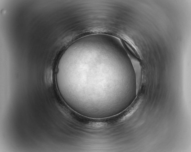 X0000093420205200710261005