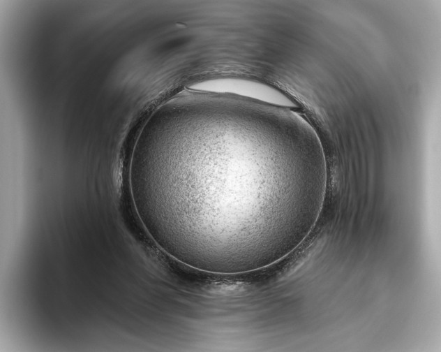 X0000093420206200710261005