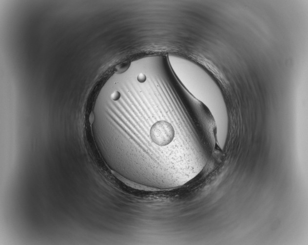 X0000093420207200710261005