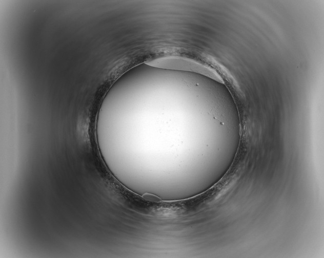 X0000093420209200710261005