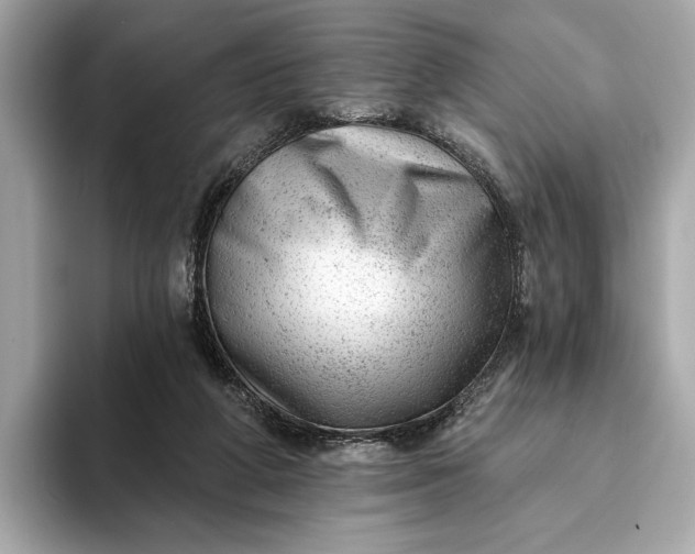 X0000093420210200710261005