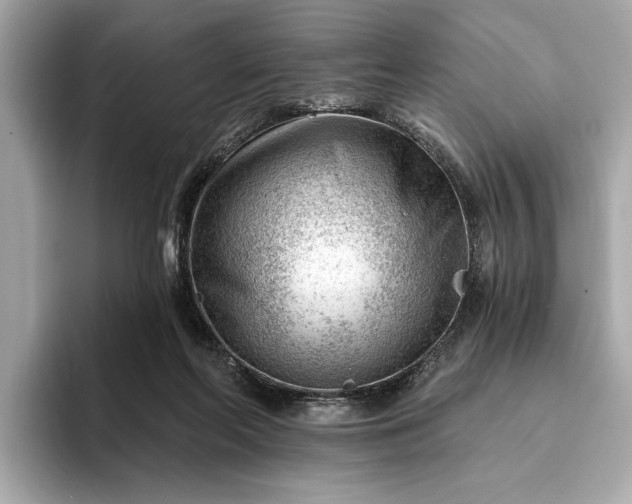 X0000093420214200710261005