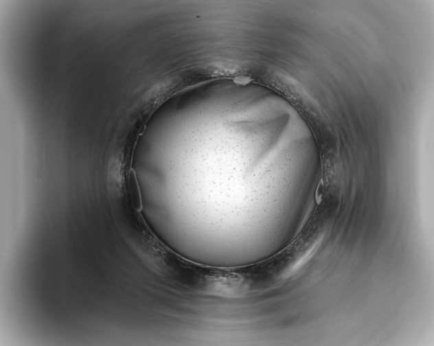 X0000093420215200710261005