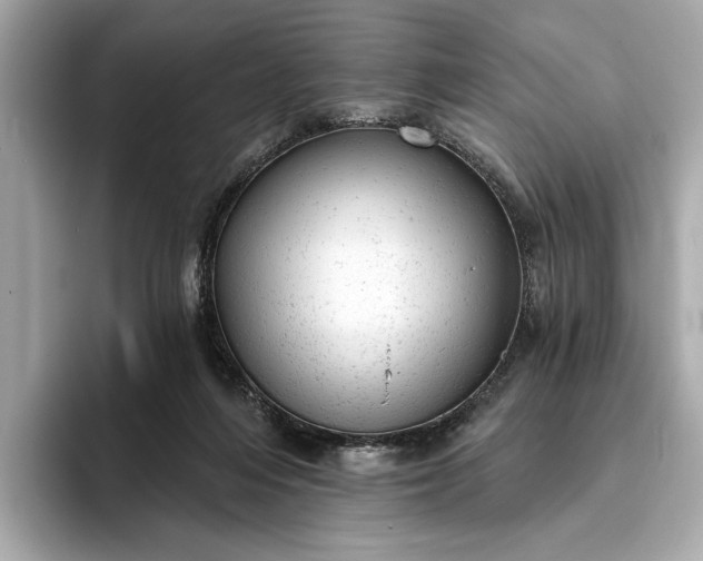 X0000093420216200710261005