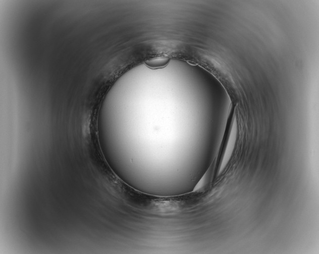 X0000093420221200710261005