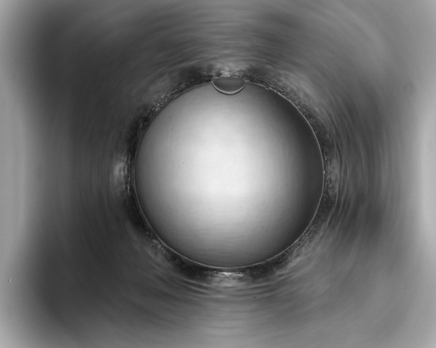 X0000093420222200710261005