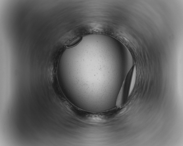 X0000093420223200710261005