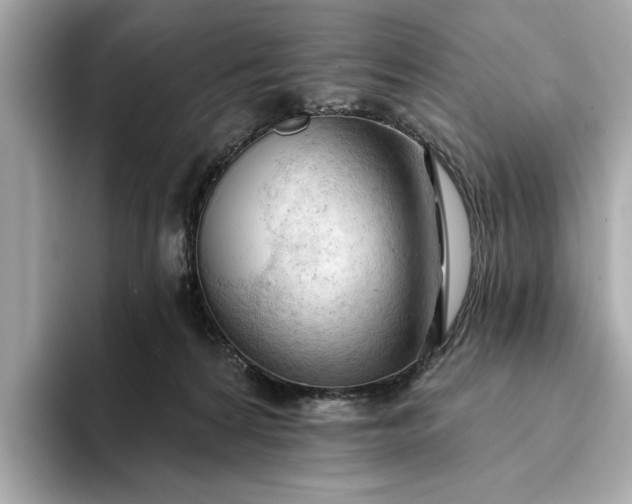 X0000093420224200710261005