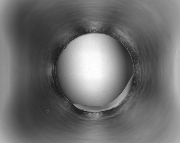 X0000093420225200710261005