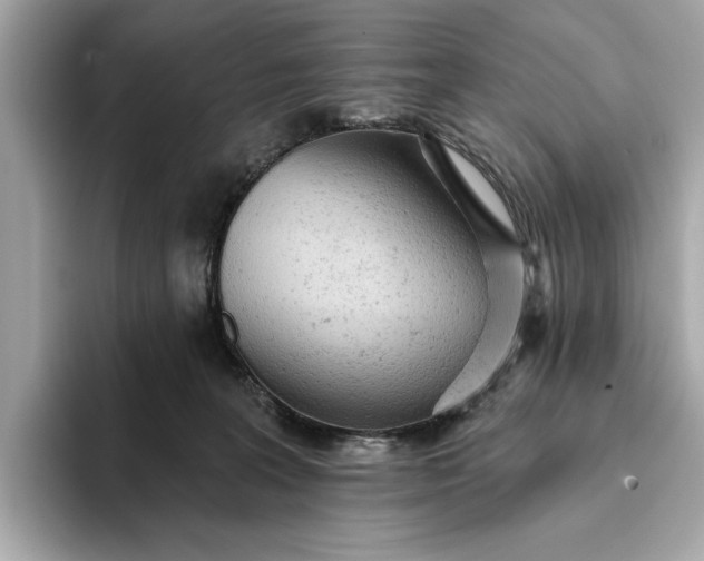 X0000093420227200710261005