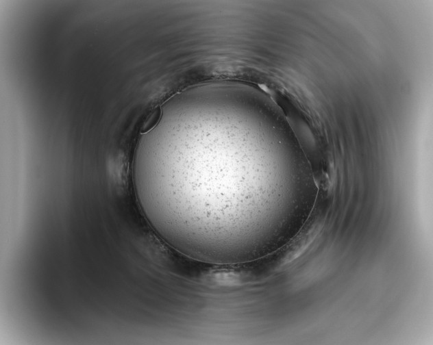 X0000093420228200710261005