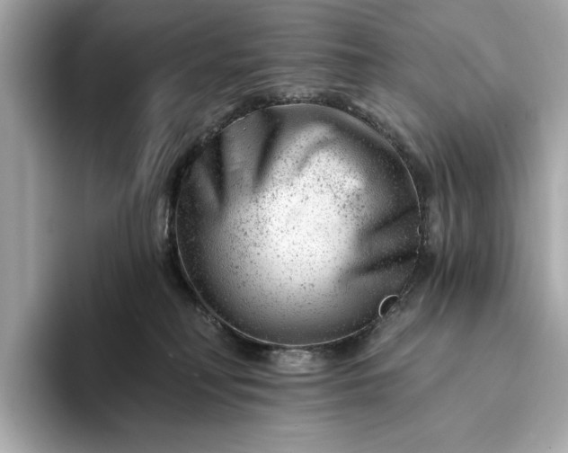 X0000093420230200710261005