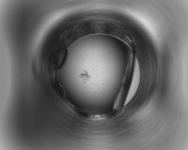 X0000093420239200710261005