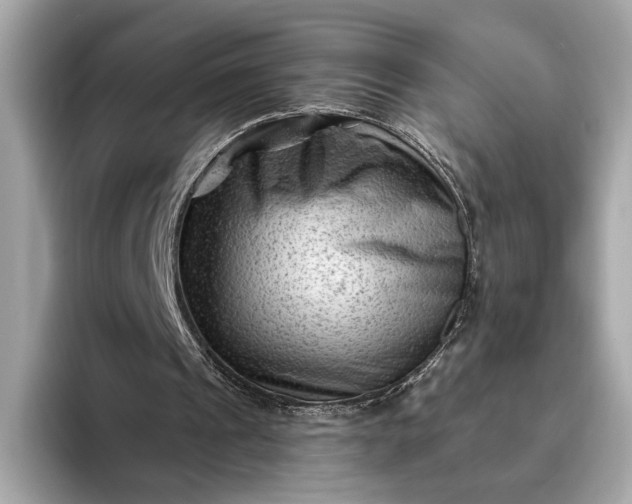 X0000093420241200710261004