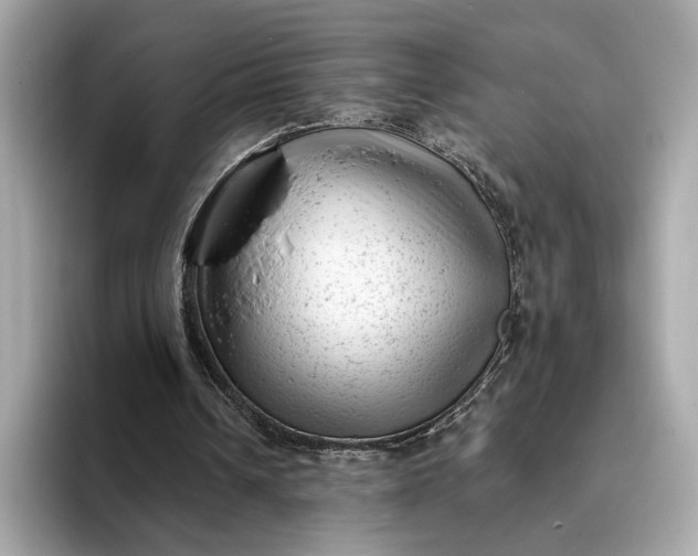 X0000093420242200710261004