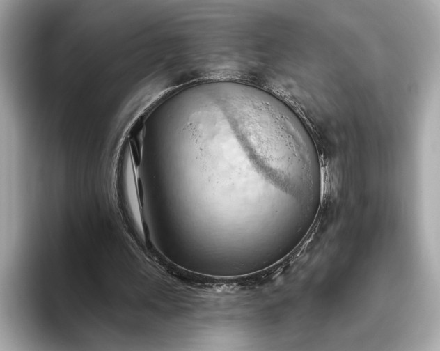 X0000093420243200710261004