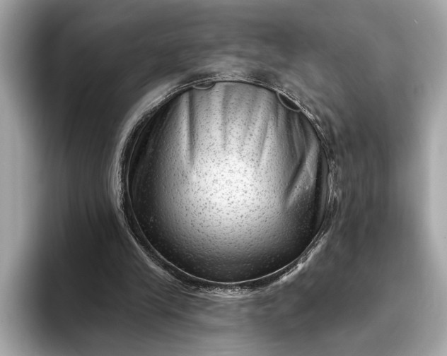 X0000093420245200710261004