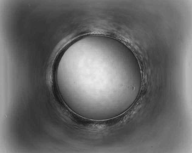 X0000093420247200710261004