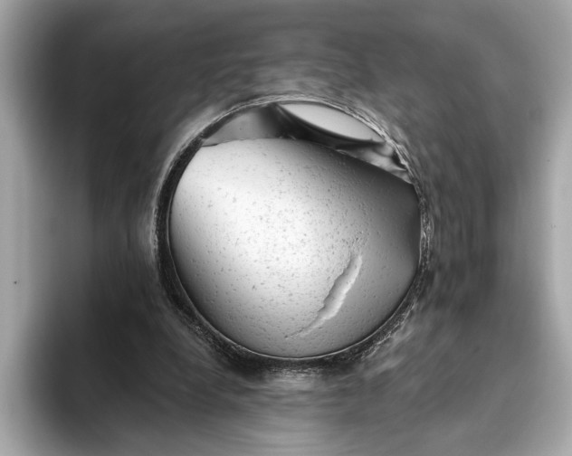 X0000093420248200710261004