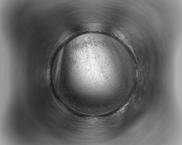 X0000093420249200710261004