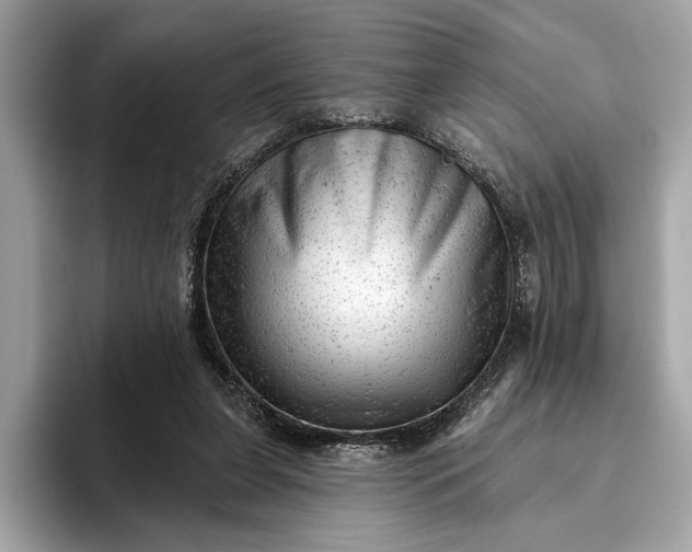 X0000093420255200710261004